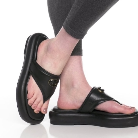 Coach slides - Picture 2 of 4